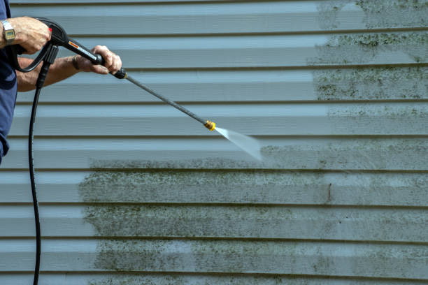 Best Affordable Power Washing  in Pleasant Ridge, MI