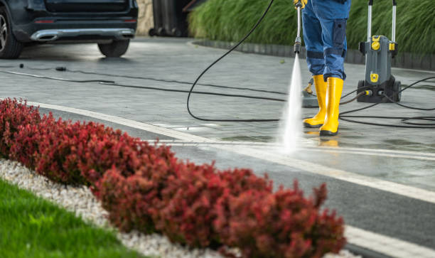 Best Pressure Washing Company Near Me  in Pleasant Ridge, MI