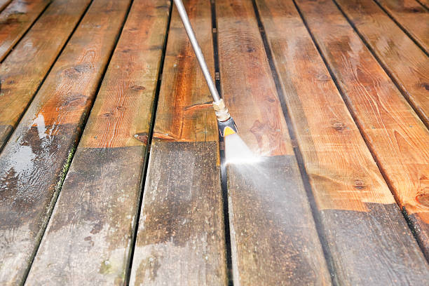 Best Residential Pressure Washing Services  in Pleasant Ridge, MI