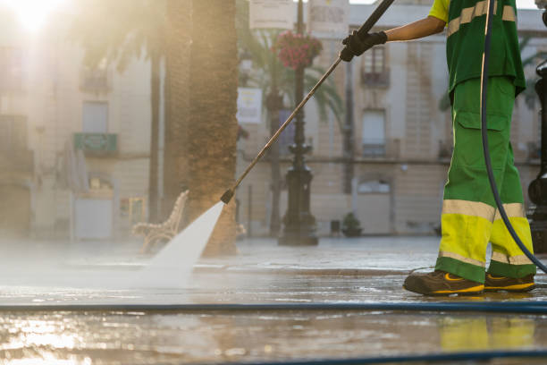 Best Residential Pressure Washing Services  in Pleasant Ridge, MI
