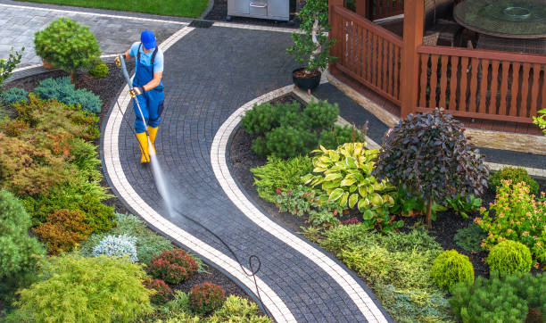 Best Sidewalk Pressure Washing  in Pleasant Ridge, MI