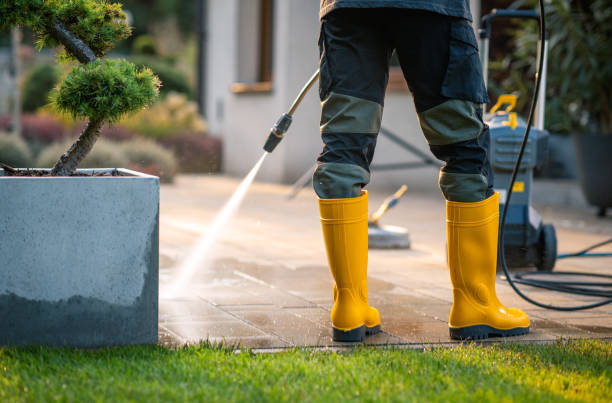 Best Power Washing Near Me  in Pleasant Ridge, MI